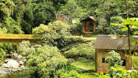 Serene Cottage Amidst Nature's Embrace wallpaper
