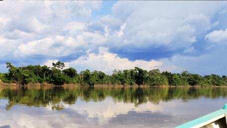 Tranquil River Reflections Amidst Lush Greenery wallpaper