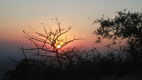 Serene Sunset Silhouettes in Nature's Embrace wallpaper