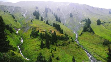 Mountain Streams in Springtime Splendor wallpaper