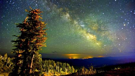 Milky Way Majesty Over Forest Horizon wallpaper