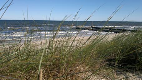 Serene Seashore Escape in 4K Resolution wallpaper