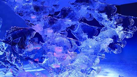 Frozen Fish in Ethereal Blue Light wallpaper