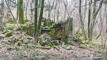 Mysterious Forest Ruins in Autumn Leaves wallpaper