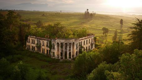 Timeless Elegance Amidst Nature's Embrace wallpaper