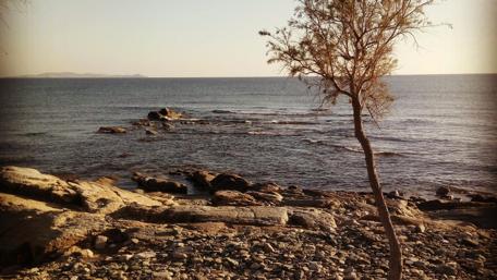 Serene Shoreline Escape wallpaper