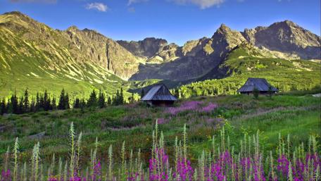 Mountain Serenity in Cottage Paradise wallpaper
