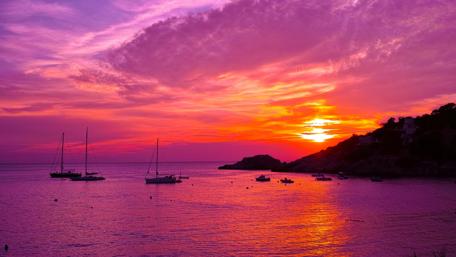Purple Sunset on the Coast wallpaper