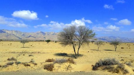 Desolate Beauty of the Desert Landscape wallpaper