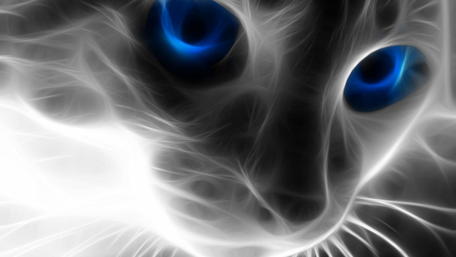 Mystical Cat with Electric Blue Eyes wallpaper