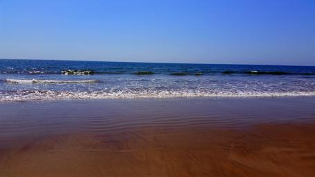 Tranquil Shoreline and Gentle Waves wallpaper