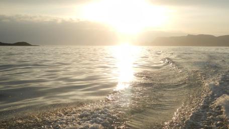 Tranquil Sunset Over Gentle Waves wallpaper