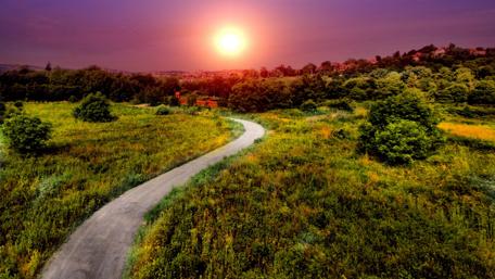 Serene Pathway Under a Purple Sky wallpaper