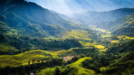 Majestic Mountain Valley Vista wallpaper