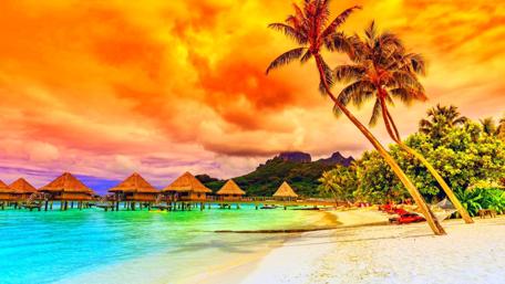 Tropical Paradise Awaits You wallpaper