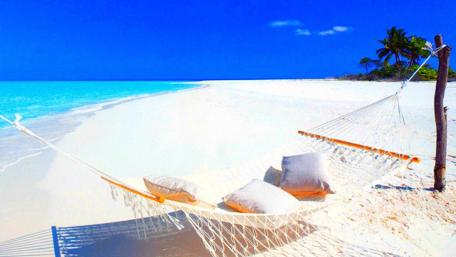 Tranquil Beach Bliss wallpaper