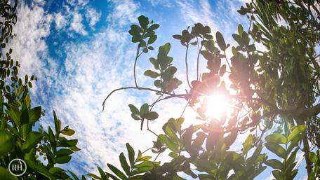 Radiant Nature Beneath the Sky Away from the City Life wallpaper