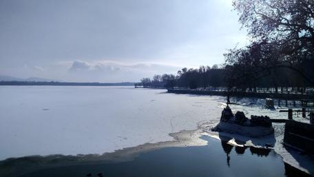 Frozen Serenity of Lake Hungary in Winter wallpaper