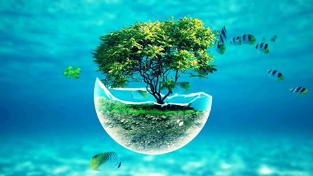 Surreal Aquatic Oasis in Vivid Blue wallpaper
