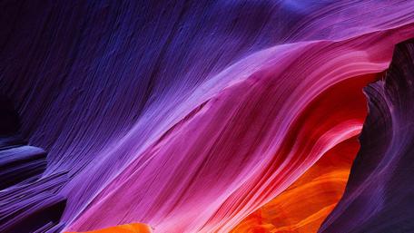 Vibrant Cave Paintings of Nature's Splendor wallpaper