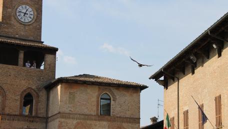 Eagle Soars Over Medieval Italian Cityscape wallpaper