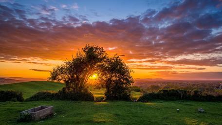 Golden Sunset Over Countryside Pathway wallpaper