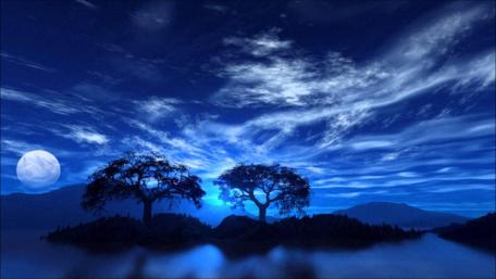 Under a Blue Moonlit Sky wallpaper
