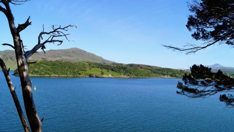 Tranquil Blue Waters and Lush Greenery wallpaper