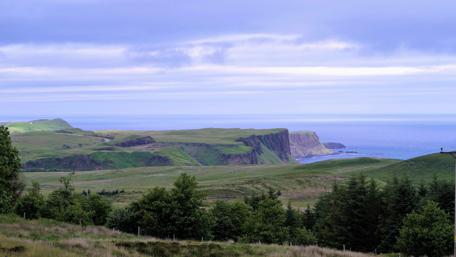 Breathtaking Coastal Greenery in 4K wallpaper