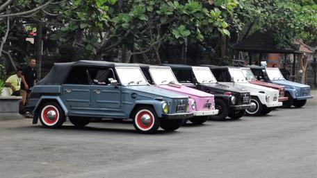 Vintage Car Parade in Beautiful Surroundings wallpaper