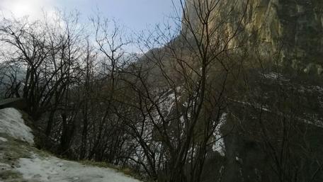 Serene Winter Landscape with Bare Trees and Mountains wallpaper