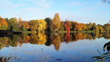 Autumn Bliss by the Lakeshore wallpaper