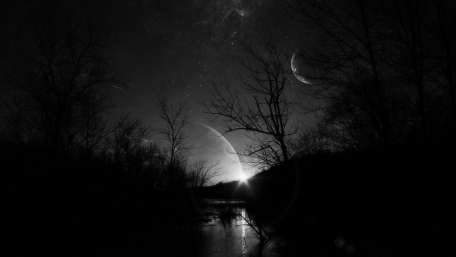 Moonlit Silhouette of a Mystic Forest wallpaper