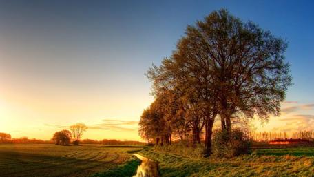 Golden Hour Bliss Over Tranquil Fields wallpaper