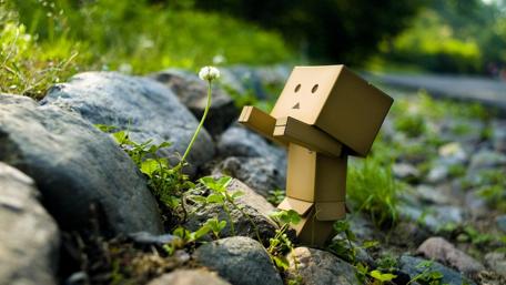 Finding Beauty in Simplicity wallpaper