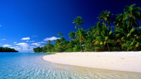 Tropical Paradise Escape wallpaper