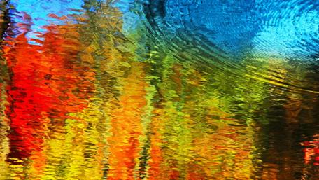 Vibrant Water Reflection wallpaper