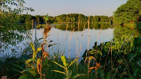 Tranquil Sunset by the Lake wallpaper