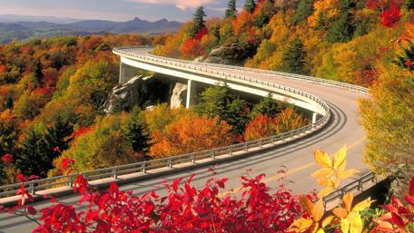 Winding Road Through Autumn Splendor wallpaper