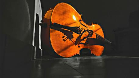 Elegance of the Cello in Shadowy Light wallpaper