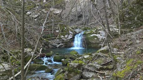 Tranquil Mountain Waterfall in Lush Forest Glade wallpaper