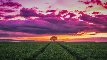 Vibrant Sunset Over a Serene Field wallpaper