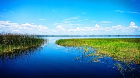 Serene Tohopekaliga Reflections in Florida Nature Scene wallpaper