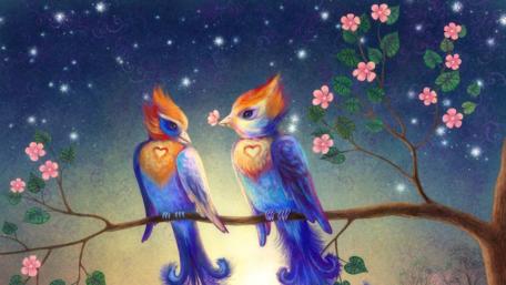 Enchanted Nighttime Bird Pair wallpaper