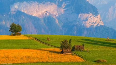 Serene Meadow in Slovakia's Majestic Landscape wallpaper