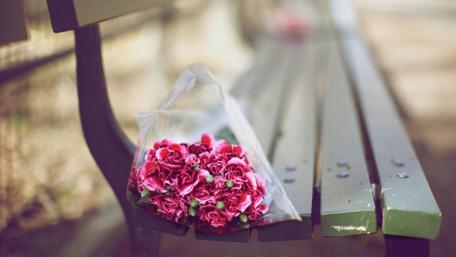 Delicate Pink Carnations on a Bench wallpaper