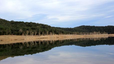 Tranquil Lakeside Reflection in Nature's Embrace wallpaper