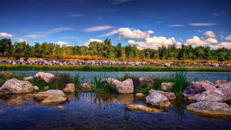 Sunny Riverside Serenity in Nature's Embrace wallpaper