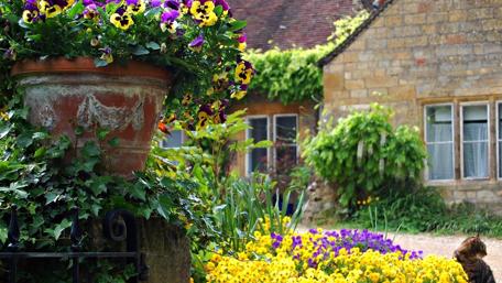 Vibrant Floral Beauty Surrounding a Charming Cottage wallpaper