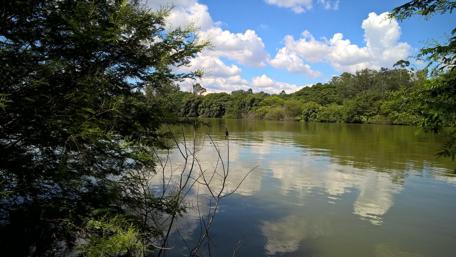 Serene Reflections in Nature's Embrace wallpaper